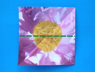uitleg om een schattige roze bloem van papier te maken uitleg om een schattige roze bloem van papier te maken