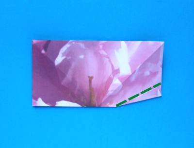uitleg om een schattige roze bloem van papier te maken uitleg om een schattige roze bloem van papier te maken