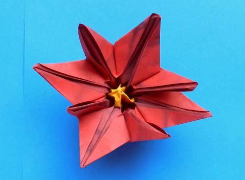 Een kerstster bloem maken van papier Een kerstster bloem maken van papier