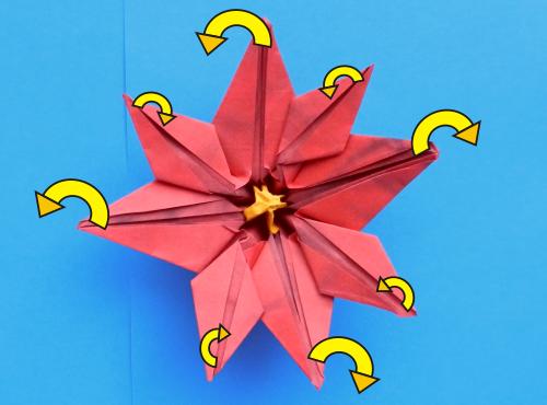 Een kerstster bloem maken van papier Een kerstster bloem maken van papier