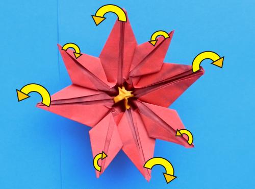 Make Origami Poinsettia flowers