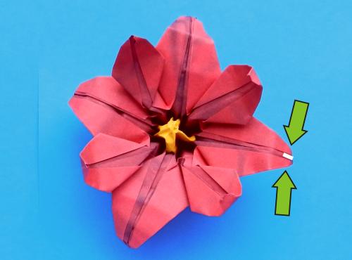 Make Origami Poinsettia flowers