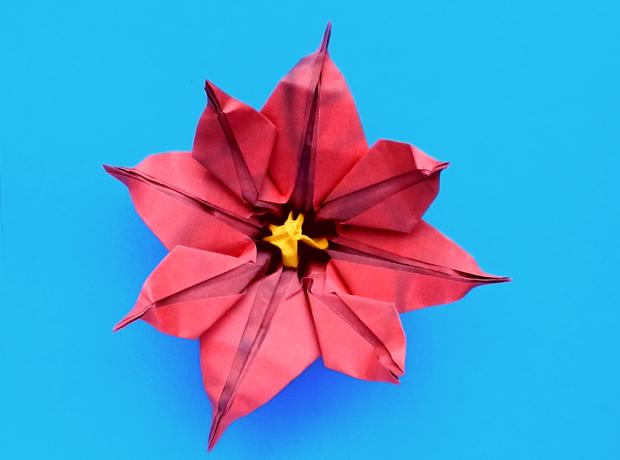 Origami Poinsettia