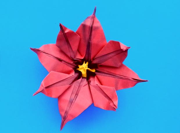 Poinsettia bloem van papier Poinsettia bloem van papier