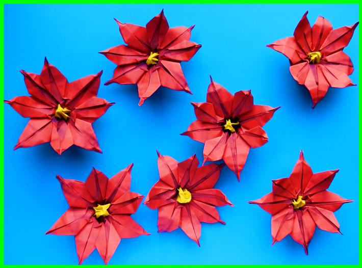 Poinsettia bloemen van rood papier