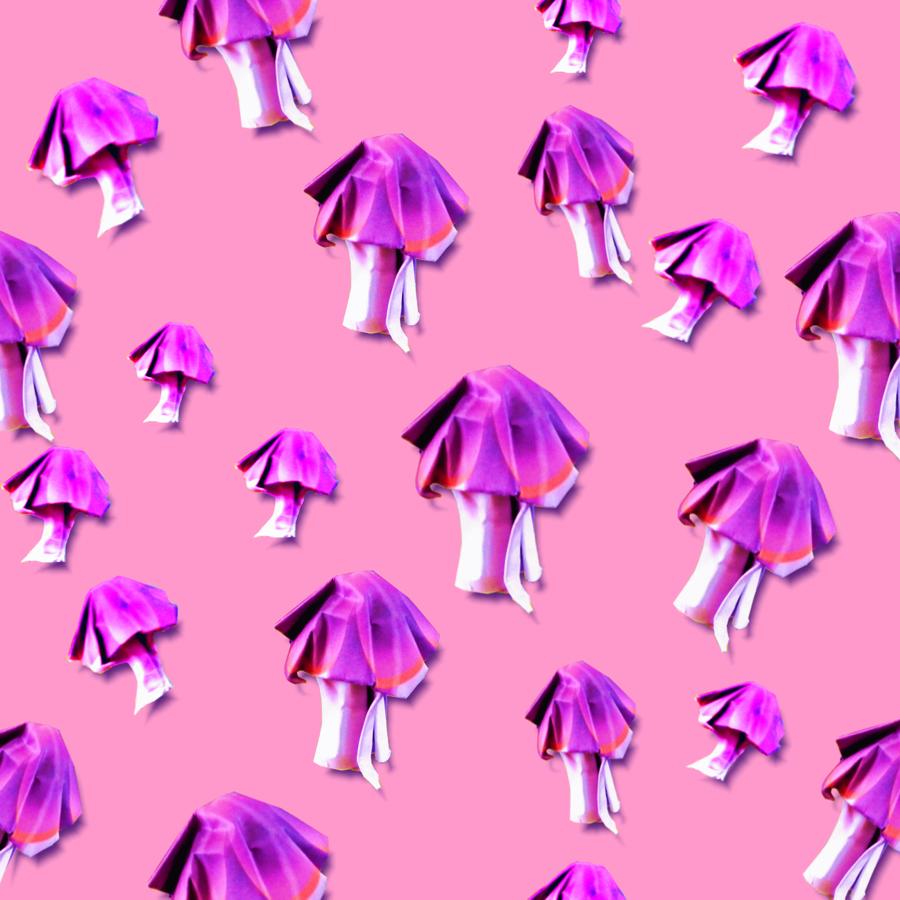 Poisonous mushrooms background pattern
