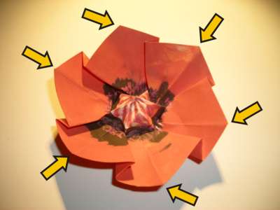 diagram for an origami poppy diagram for an origami poppy