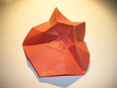 diagram for an origami poppy