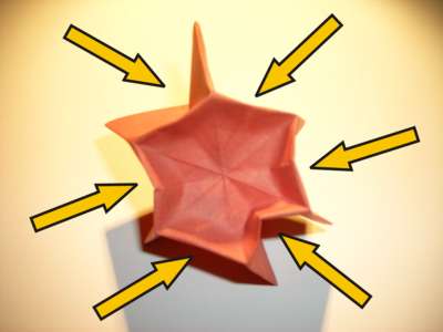 diagram for an origami poppy