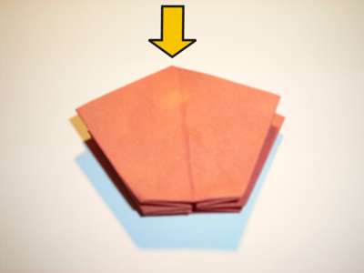 diagram for an origami poppy