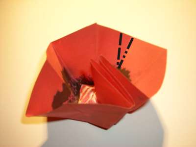 diagram for an origami poppy diagram for an origami poppy