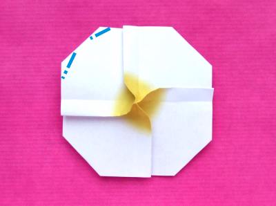 instructions for making an origami primrose