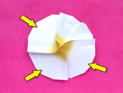 instructions for making an origami primrose