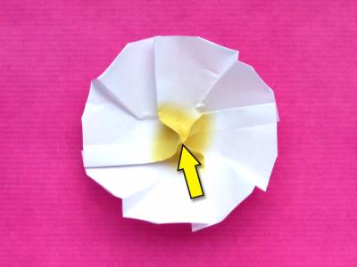 instructions for making an origami primrose