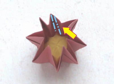 easy origami primrose diagrams