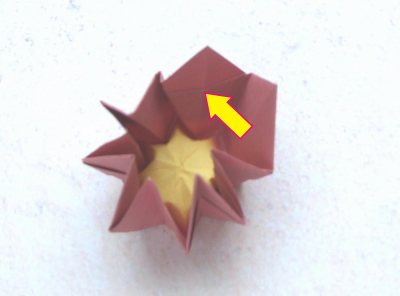 easy origami primrose diagrams