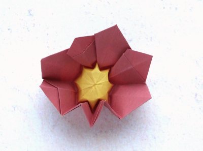 easy origami primrose diagrams