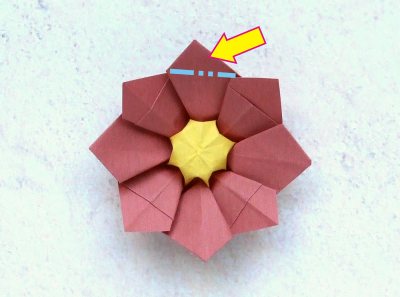 easy origami primrose diagrams easy origami primrose diagrams