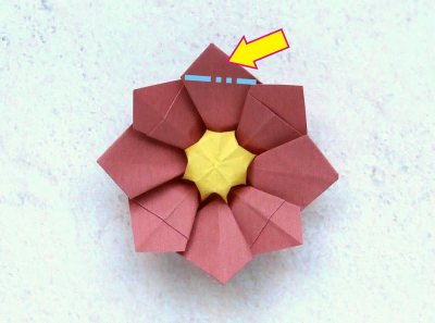 easy origami primrose diagrams