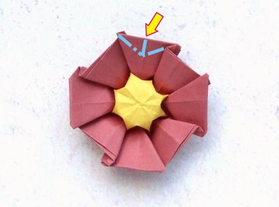 easy origami primrose diagrams easy origami primrose diagrams