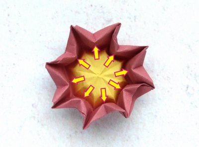 easy origami primrose diagrams easy origami primrose diagrams