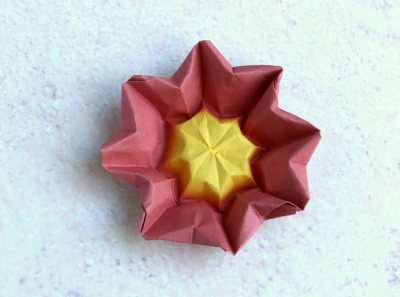 cute red easy to fold origami primrose cute red easy to fold origami primrose