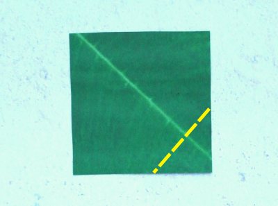 patterned origami paper for the leaf of a primrose patterned origami paper for the leaf of a primrose