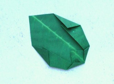 instructions for the leaf of an origami primrose instructions for the leaf of an origami primrose