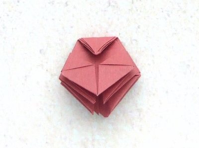 easy origami primrose diagrams easy origami primrose diagrams