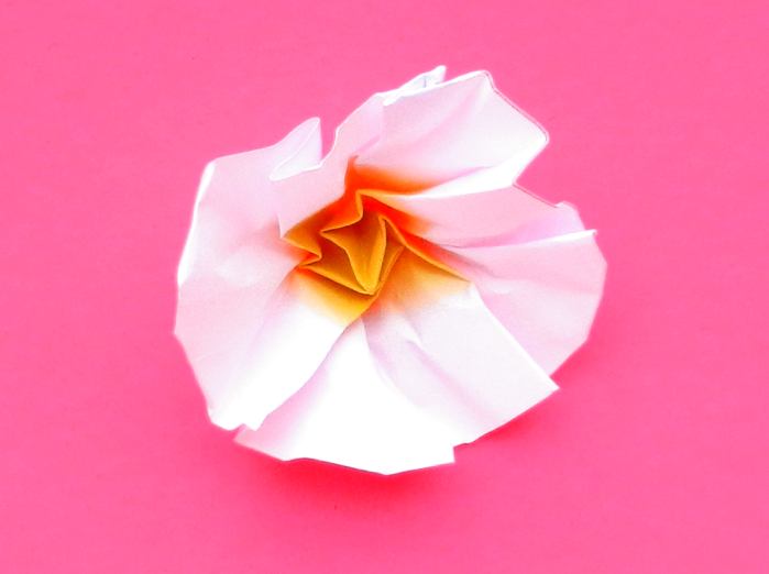 Origami Primrose Origami Primrose