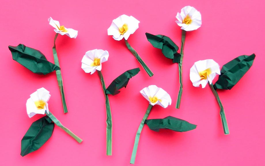 Origami primula's Origami primula's