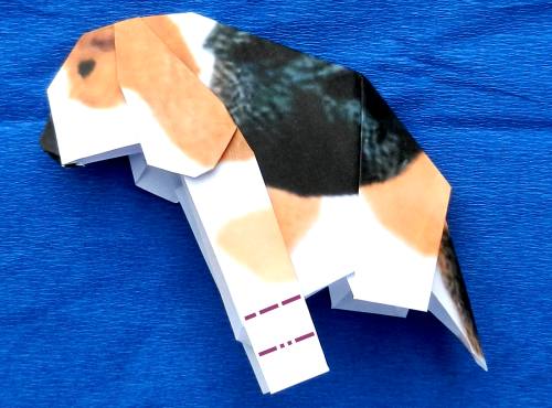 Een Beagle puppy van papier maken Een Beagle puppy van papier maken