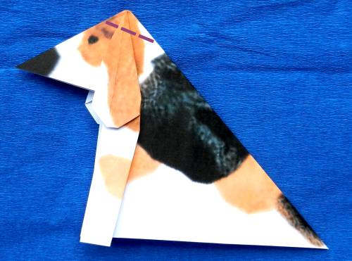 Een Beagle puppy van papier maken