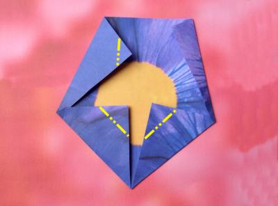 purple flower with 5 petals purple flower with 5 petals