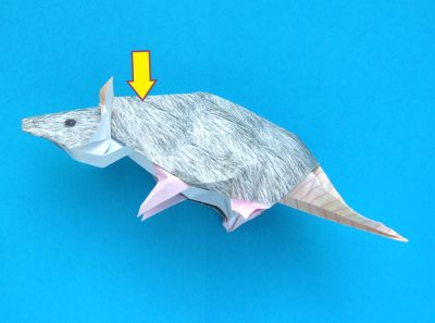 advanced origami rat folding instructions