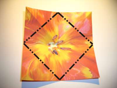 rode origami bloem rode origami bloem