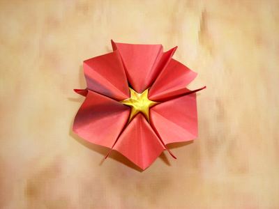 rode origami bloem