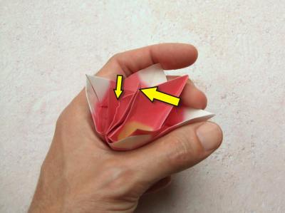 Origami Roosje vouwen