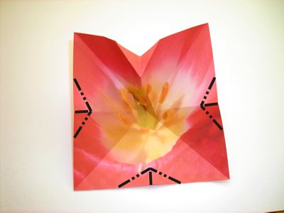 diagrammen voor een rode origami bloem diagrammen voor een rode origami bloem