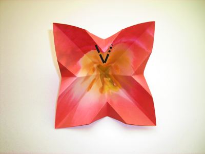 diagrammen voor een rode origami bloem