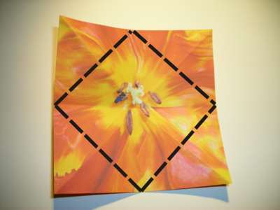 origami flower diagram origami flower diagram