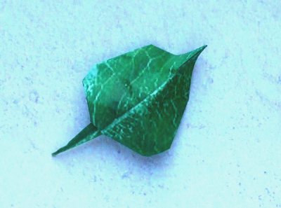 green patterned origami leaf for a red rose green patterned origami leaf for a red rose
