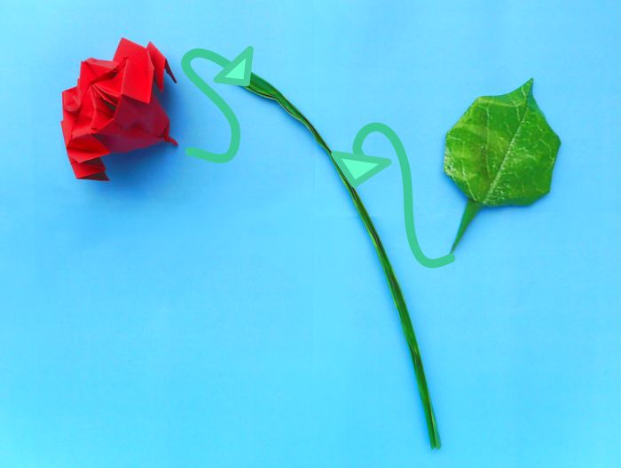 Fold Origami Roses