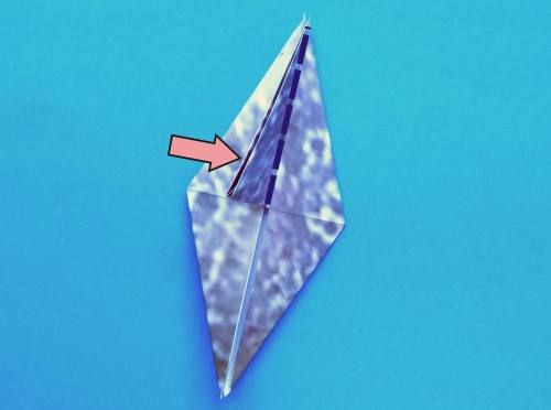 Een zeehond knutselen van papier Een zeehond knutselen van papier
