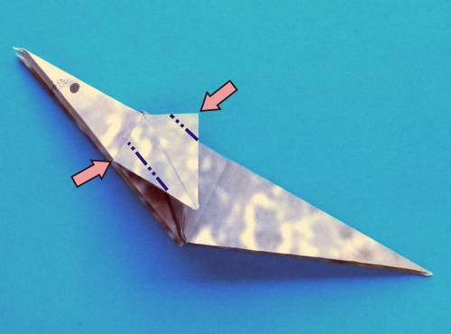 Een zeehond knutselen van papier Een zeehond knutselen van papier