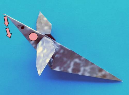 Folding an Origami Sea Dog