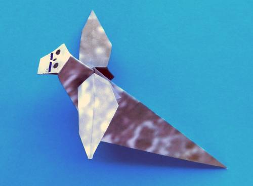 Folding an Origami Sea Dog