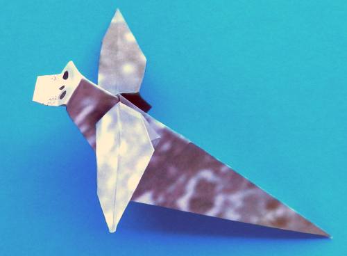 Folding an Origami Sea Dog