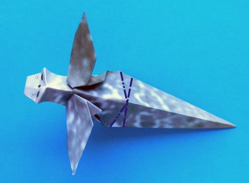 Folding an Origami Sea Dog