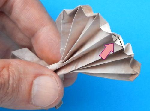 Make paper Origami Seashells